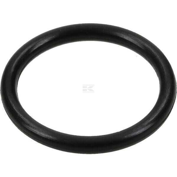 O-Ring-Satz - 317843GS - Briggs & Stratton