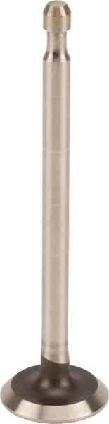 Auslassventil - 499642 - Briggs & Stratton
