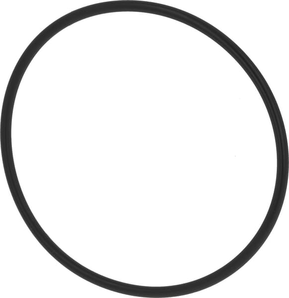 O-Ring - MTD - O-Ringe - 75112772