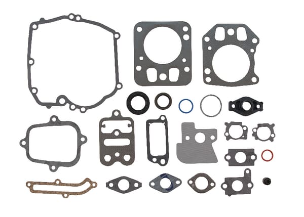 Dichtungssatz-Motor - Briggs & Stratton - Dichtungssatz - 795442