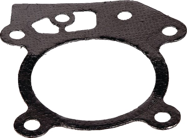 Zylinderkopfdichtung - Briggs & Stratton - Zylinderkopfdichtung - 799586