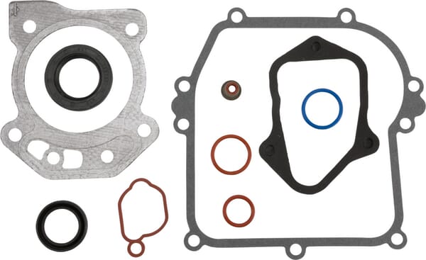 Briggs & Stratton Motor-Dichtungssatz - 84006591