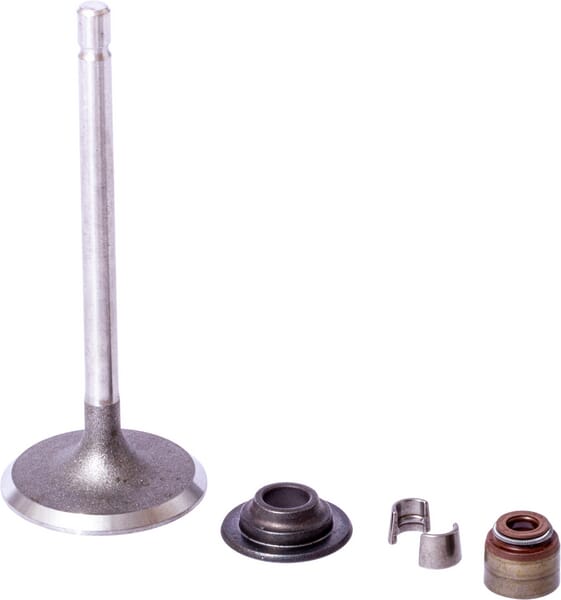 Einlassventil - BS - VentileBriggs & Stratton - 843730