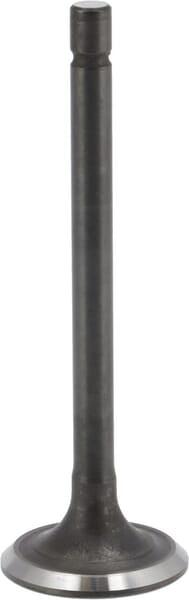 Auslassventil - 843752 - Briggs & Stratton