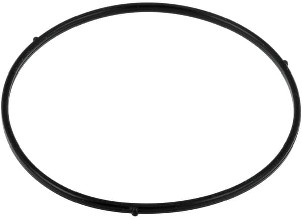 Schwimmerkammerdichtung - AL-KO - Vergaserglas - AK455225