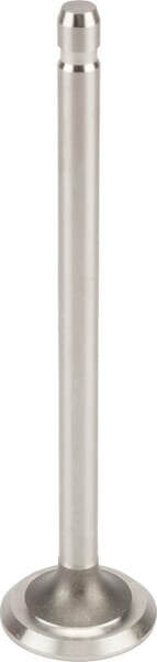 BS Auslassventil: 262246S. Ventil für BS - FGP014314.